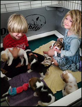 4 Week Old Puppies & Grand Babies 